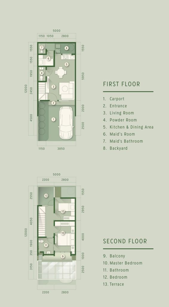 tipe cedar 5