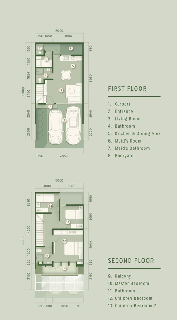 tipe cedar 6
