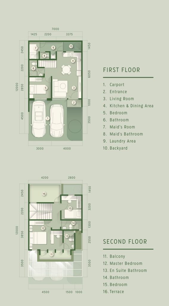 tipe cedar 7