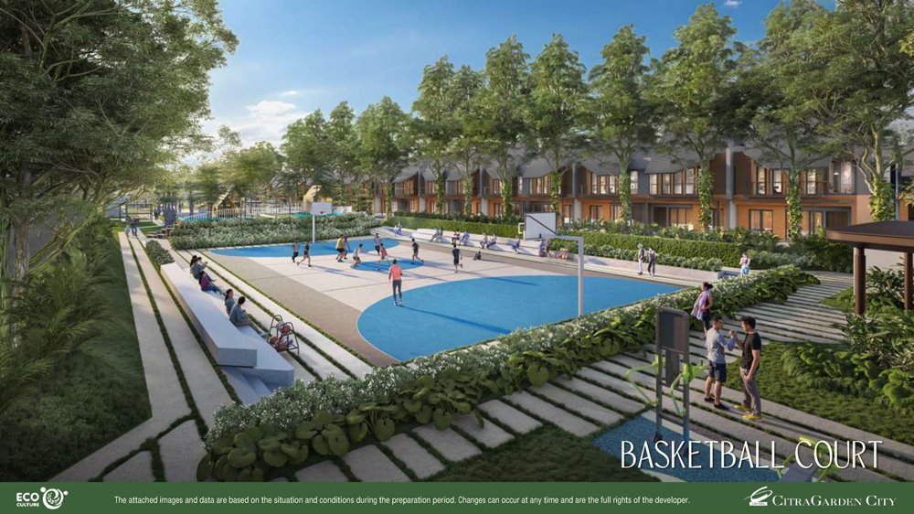 Basketball Court