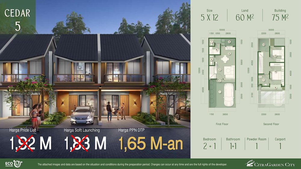 tipe cedar 5