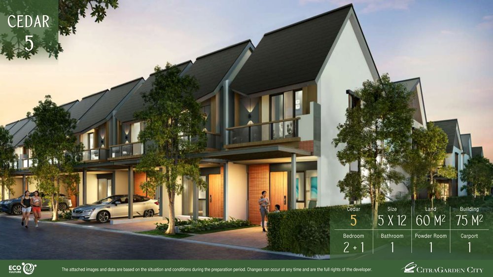 tipe cedar 5