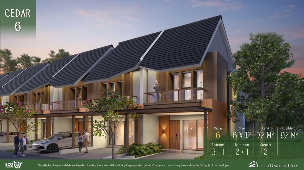 tipe cedar 6
