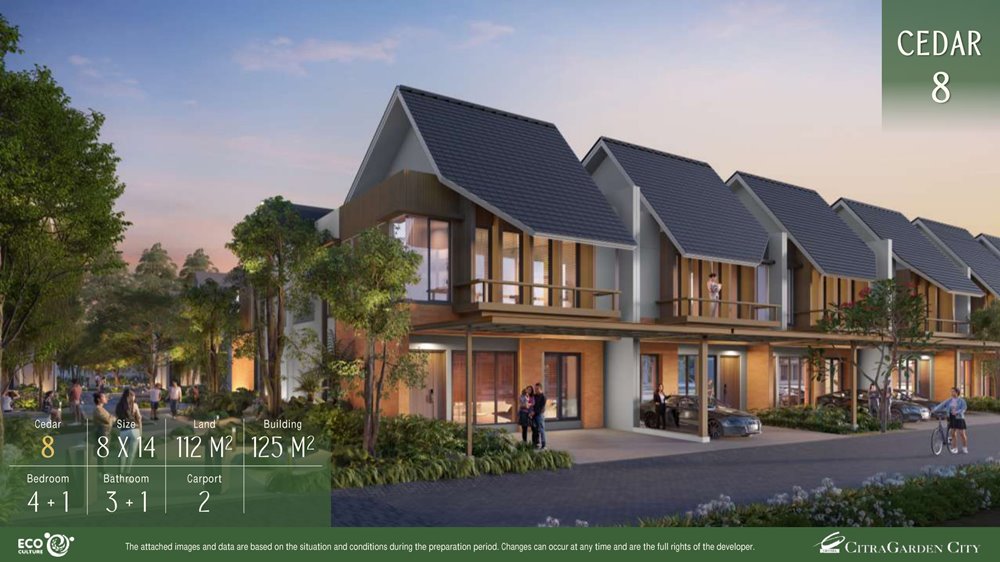 tipe cedar 8